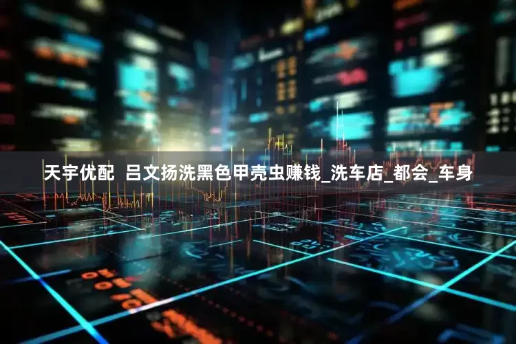 天宇优配  吕文扬洗黑色甲壳虫赚钱_洗车店_都会_车身