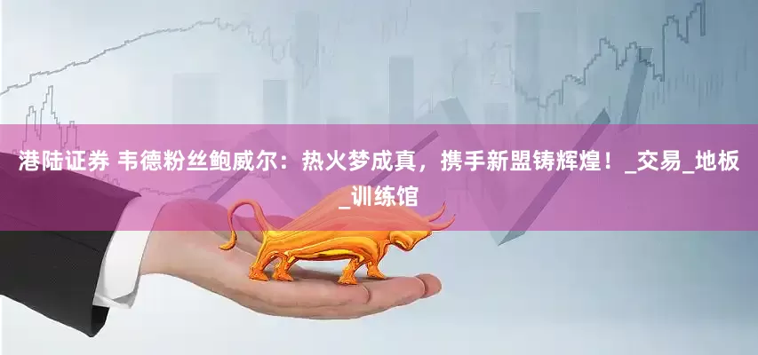 港陆证券 韦德粉丝鲍威尔：热火梦成真，携手新盟铸辉煌！_交易_地板_训练馆