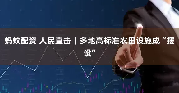 蚂蚊配资 人民直击｜多地高标准农田设施成“摆设”