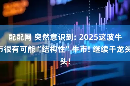 配配网 突然意识到: 2025这波牛市很有可能“结构性”牛市! 继续干龙头!