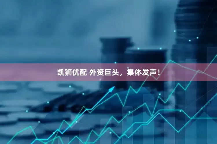 凯狮优配 外资巨头，集体发声！