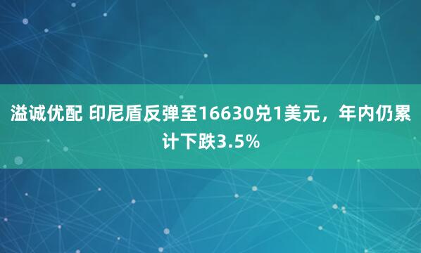 溢诚优配 印尼盾反弹至16630兑1美元，年内仍累计下跌3.5%