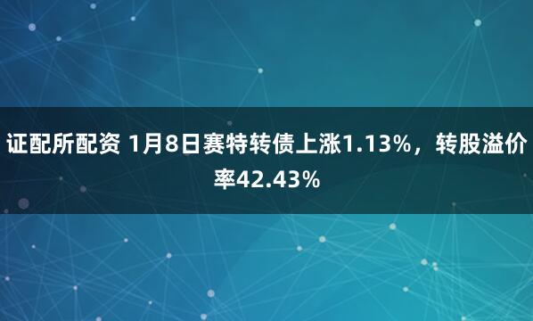 证配所配资 1月8日赛特转债上涨1.13%，转股溢价率42.43%